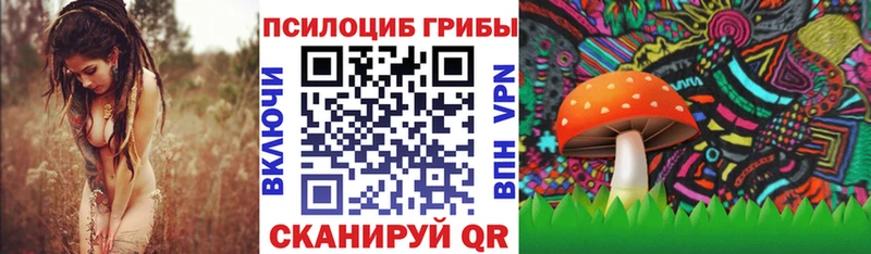 закладки  Набережные Челны  Галлюциногенные грибы прущие грибы 