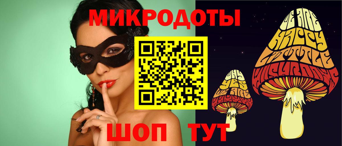 Псилоцибиновые грибы Psilocybe Набережные Челны
